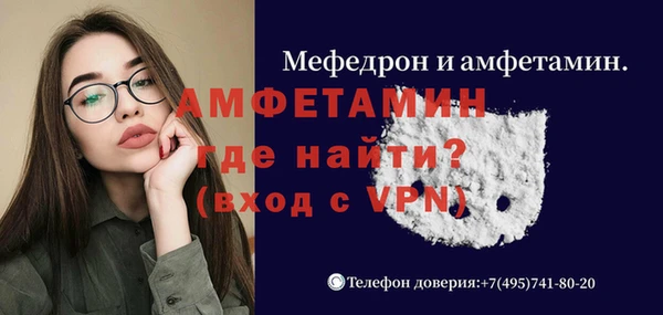 прущие грибы Медвежьегорск