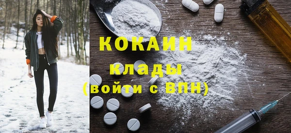 прущие грибы Медвежьегорск