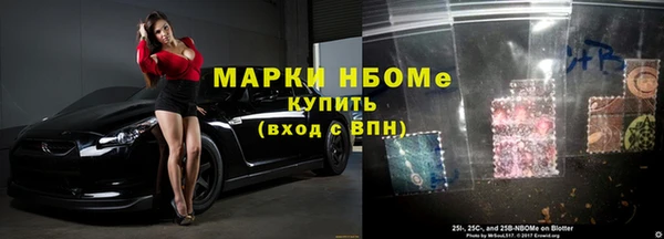 прущие грибы Медвежьегорск