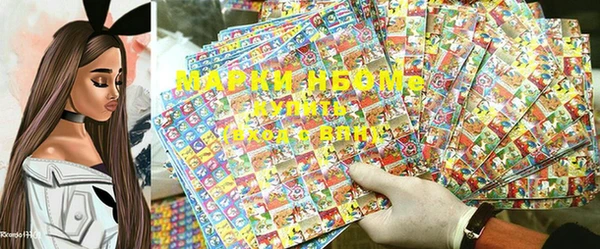 индика Михайловка