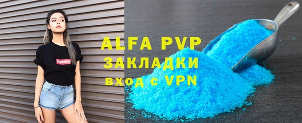 прущие грибы Медвежьегорск