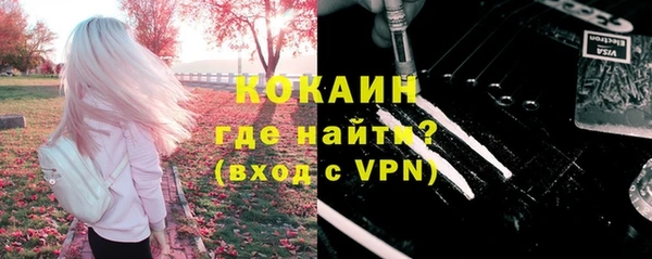 прущие грибы Медвежьегорск