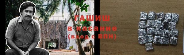прущие грибы Медвежьегорск