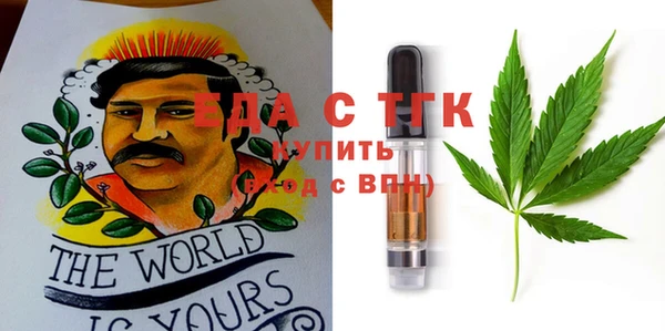 прущие грибы Медвежьегорск