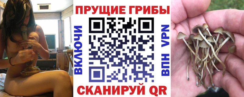 мега рабочий сайт Скопин Галлюциногенные грибы MAGIC MUSHROOMS хочу наркоту